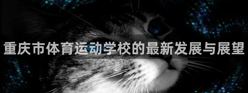 3377体育是哪的：重庆市体育运动学