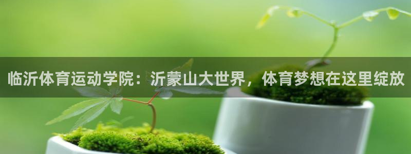 3377体育是正规平台吗还是黑金：临