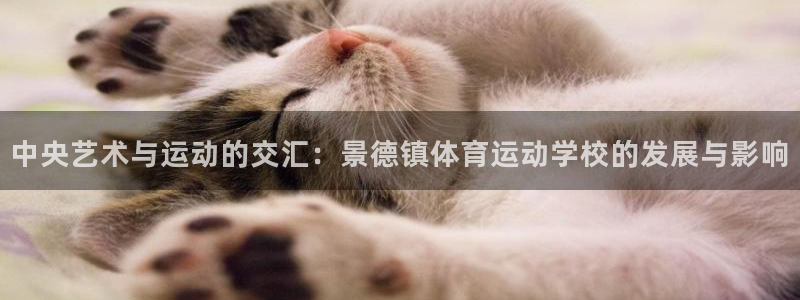 3377体育出款正常不：中央艺术与运