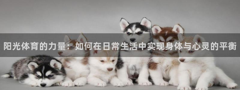 3377体育游戏：阳光体育的力量：如何在日常生活中实现身体与
