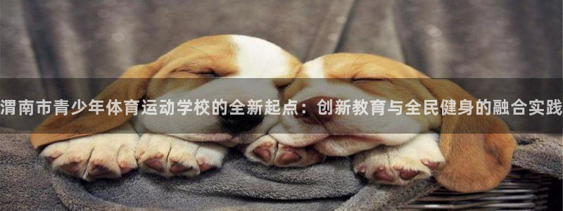 3377体育：渭南市青少年体育运动学