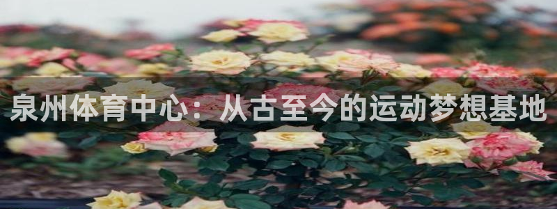  3377体育是哪的：泉州体育中心：从古至今的运动梦想基地