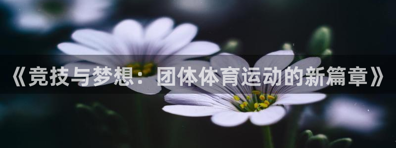3377体育在哪个国家运营：《竞技与