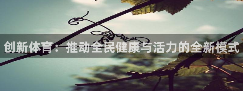  3377体育手机平台：创新体育：推动全民健康与活力的全新模式