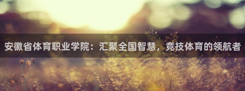  3377体育提款失败的原因分析：安徽省体育职业学院：汇聚全国